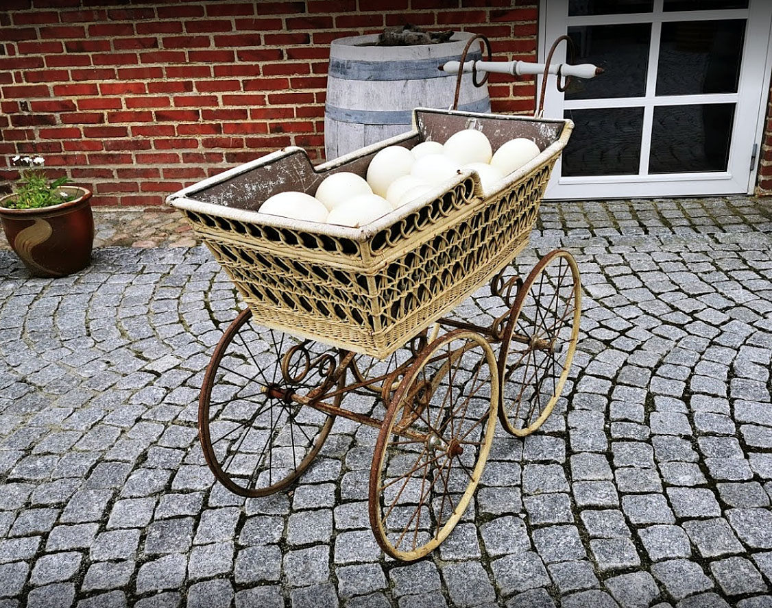 Kinderwagen_Strausseneier